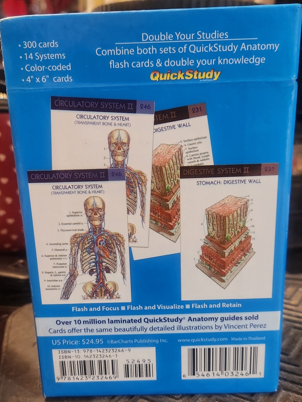 ANATOMY Flash Cards 300-Card Set by QuickStudy - Blue - Picture 3 of 3